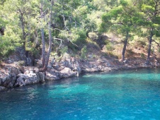 Bahía Tarzan